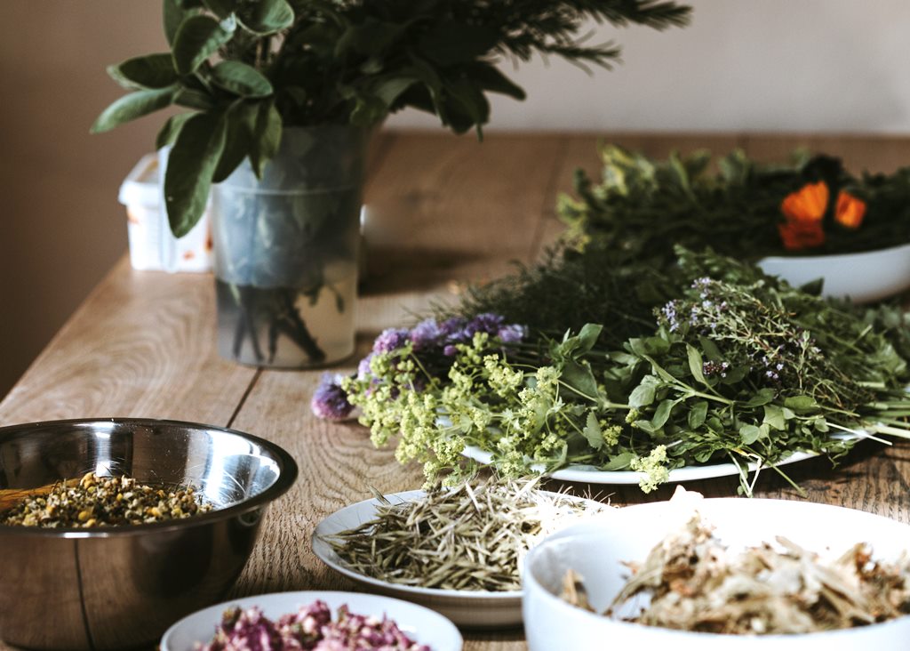 Ilustrasi Herbal. Foto: Unsplash.