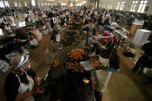 Pandemi Covid-19 Hapus 2,3 juta Peluang Kerja