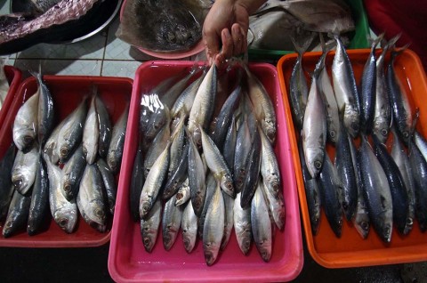 Harga Ikan di Aceh Mahal Terdampak Cuaca Buruk