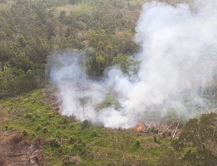 Siaga Darurat Karhutla Sumsel Diperpanjang hingga 30 November