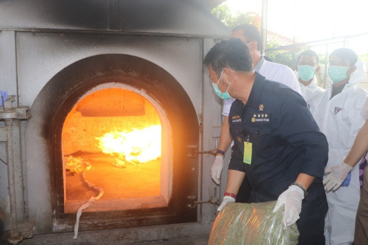 Mentan Musnahkan Ribuan Komoditas Pertanian di Bandara Soetta