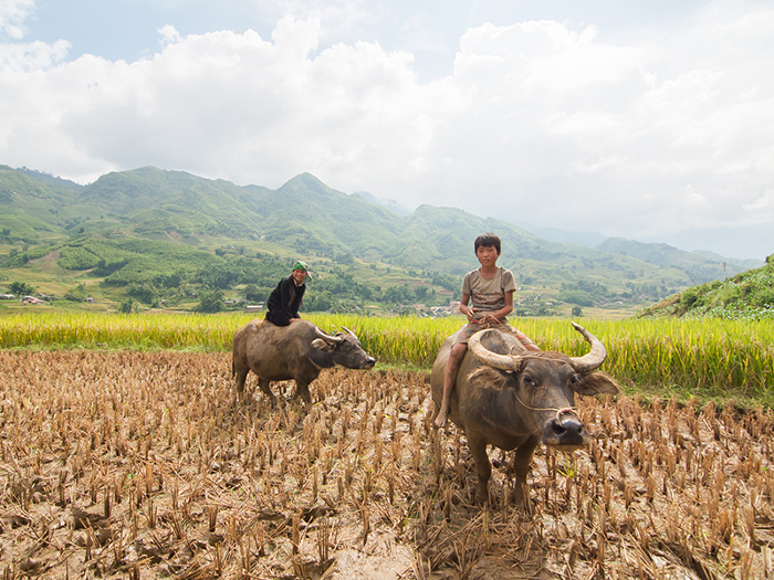 Ahmad Ali Pastikan Perekonomian Warga Sulteng Bergeliat