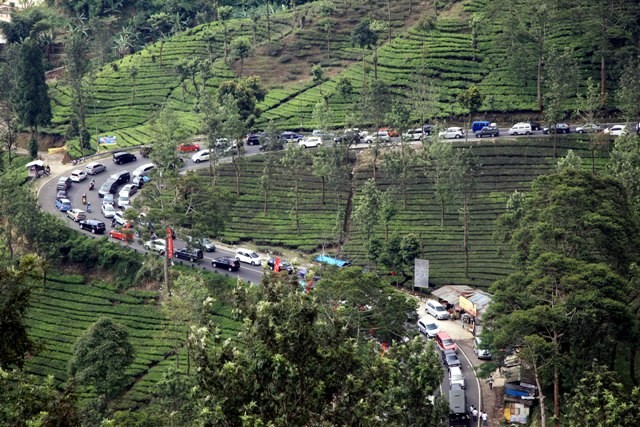 Jumlah Pengunjung Tempat Wisata di Kabupaten Bogor Dibatasi 50 Persen
