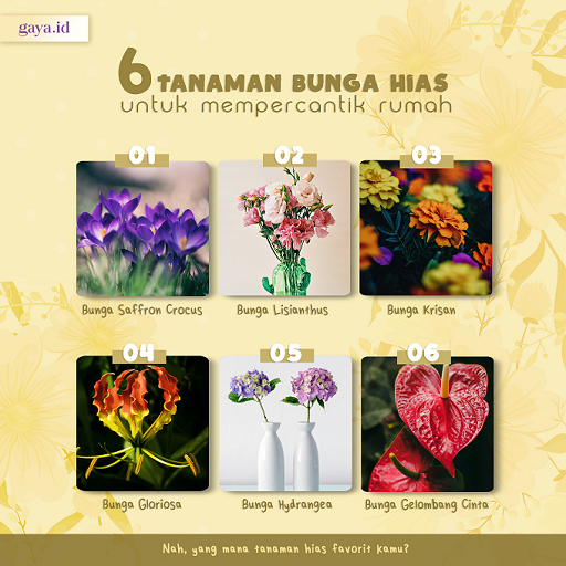 6 Bunga Hias untuk Mempercantik Rumahmu
