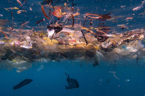 Ada 14 Juta Ton Mikroplastik di Dasar Laut, Lebih Buruk dari Perkiraan