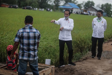 Jokowi Tinjau Pembangunan <i>Food Estate</i> di Sumatra Utara