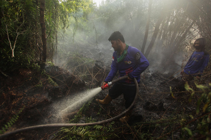 Riau Cabut Status Siaga Darurat Karhutla