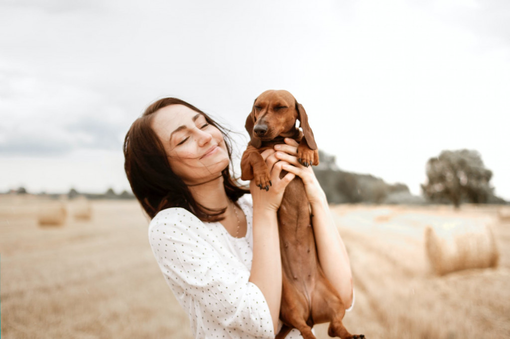 Hubungan manusia dengan anjing, kucing, dan hewan peliharaan lainnya mirip dengan ikatan antara ibu dan anak. Ikatan ini sebagian dibentuk melalui oksitosin. (Ilustrasi/pexels)