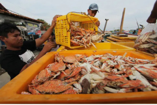 Mungkinkah Virus Penyebab Covid-19 Menular Melalui Makanan Beku?