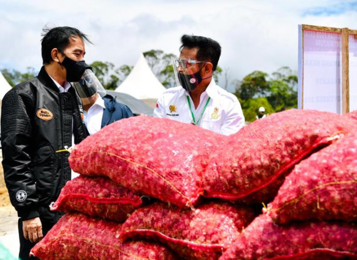 7 Investor Siap Kembangkan Lumbung Pangan Sumut