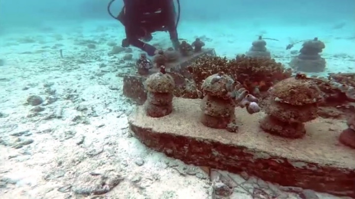 Konservasi Terumbu Karang di Sabang Terbantu Ketersediaan Internet