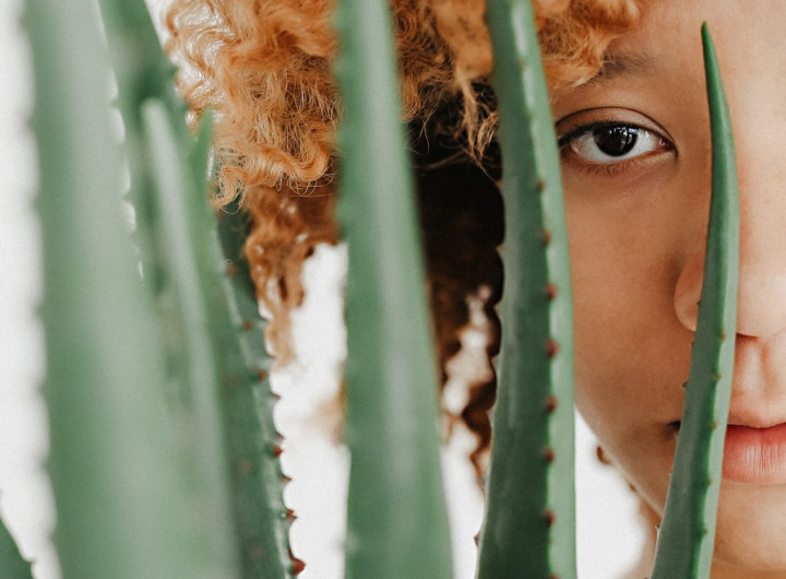 10 Manfaat Lidah Buaya untuk Wajah Bisa Jadi Perawatan Wajah