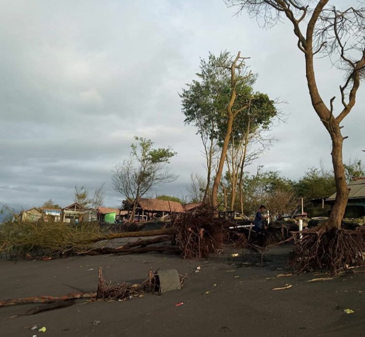 Sejumlah Titik Area Sabuk Hijau YIA Rusak