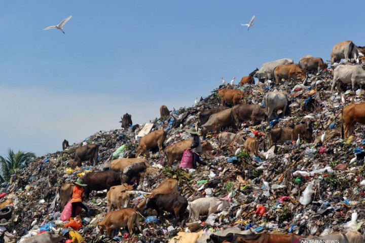 Pekanbaru Optimistis Retribusi Sampah 2020 Capai Rp52 Miliar