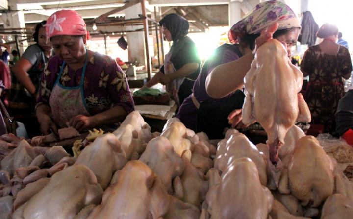 Harga Ayam Terkendali, Peternak Mulai Bernafas Lega