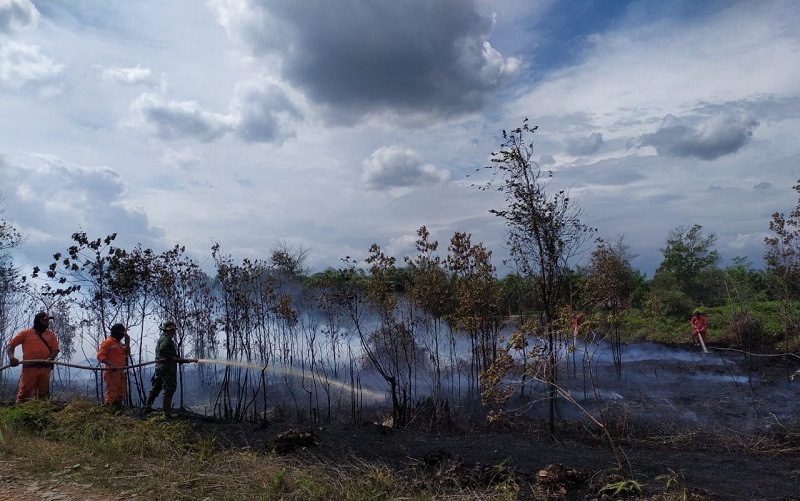 ?Kebakaran hutan di Kabupaten Ogan Ilir, Sumsel. Foto: Humas BPBD Sumsel.