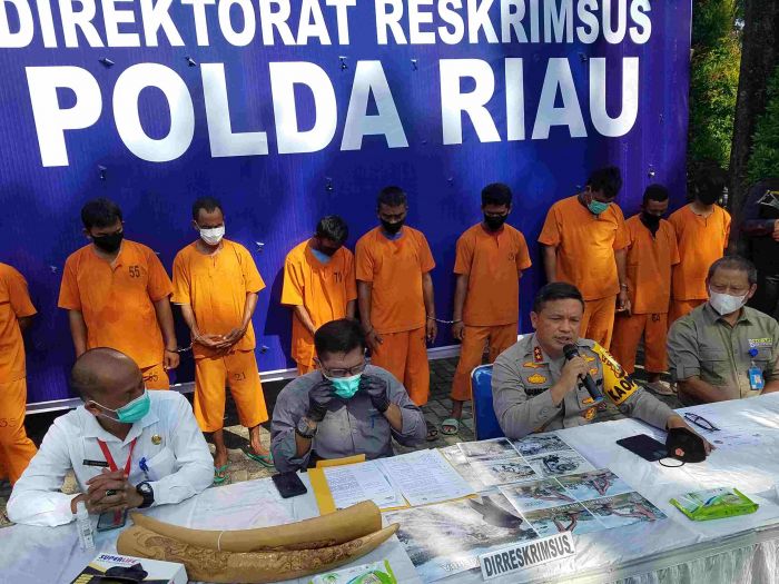 10 Penambang Pasir Ilegal di Bengkalis Ditangkap