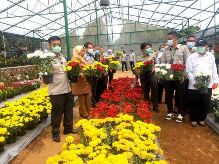 Tingkatkan Ekspor, Kementan Pacu Inovasi Teknologi Tanaman Hias