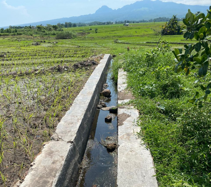 Petani di NTT Butuh Perbaikan Irigasi Pertanian