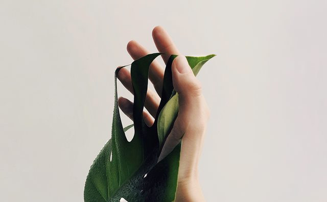 Bye-bye Asam Urat dengan Lakukan 5 Langkah Ini