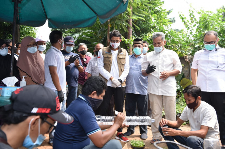 Budikdamber, Budi Daya Ikan dan Sayuran Manfaatkan Lahan Tidur di Kali Sunter