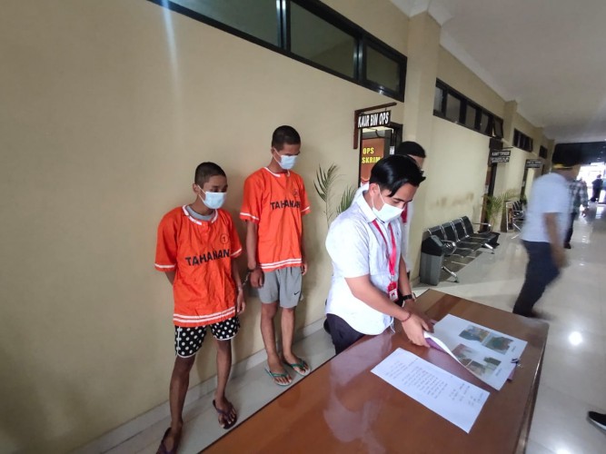 Garong Kucing Anggora Rp25 Juta di Lampung Ditangkap