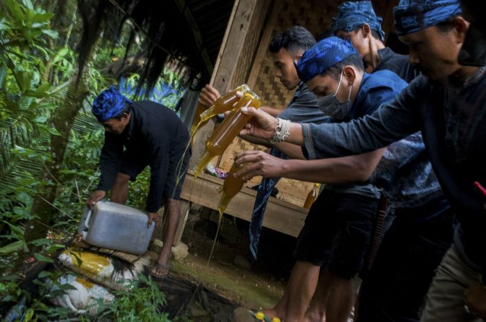 Tetua Adat Baduy Musnahkan Madu Palsu Hasil Sitaan