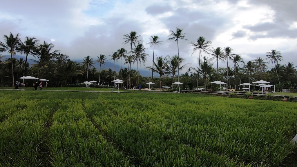 Wisata alam bakal menjadi destinasi favorit pada 2021 (Foto: A Firdaus)