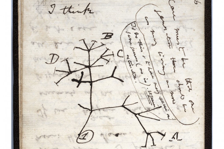 Hilang Hampir 20 Tahun, Buku Catatan Charles Darwin Belum Ditemukan