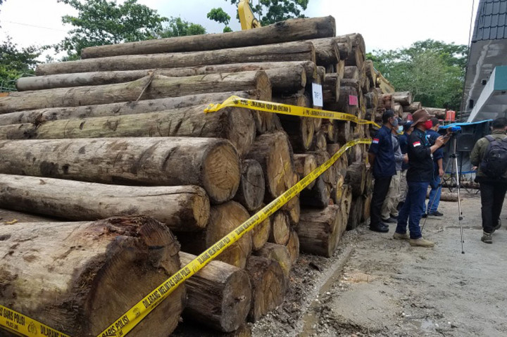 Ribuan Kayu Illegal Logging Diamankan dari SM Rimbang Baling