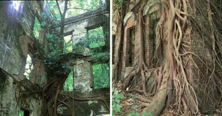 Rumah Angker di Taiwan Dijual Rp6 Miliar