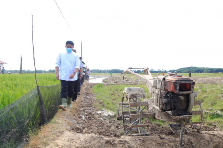 Herman Deru Resmikan Program Listrik Masuk Sawah di OKU Timur