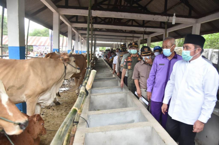 Inseminasi Buatan Dinilai Efektif Dongkrak Populasi Ternak Sapi dan Kerbau di Sumsel