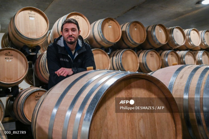 Pembuat Anggur Italia Adaptasi dengan Pasar Tiongkok