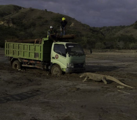 Populer Daerah, Manusia Silver Terduga Pelaku Mutilasi hingga Pekerja Diserang Komodo