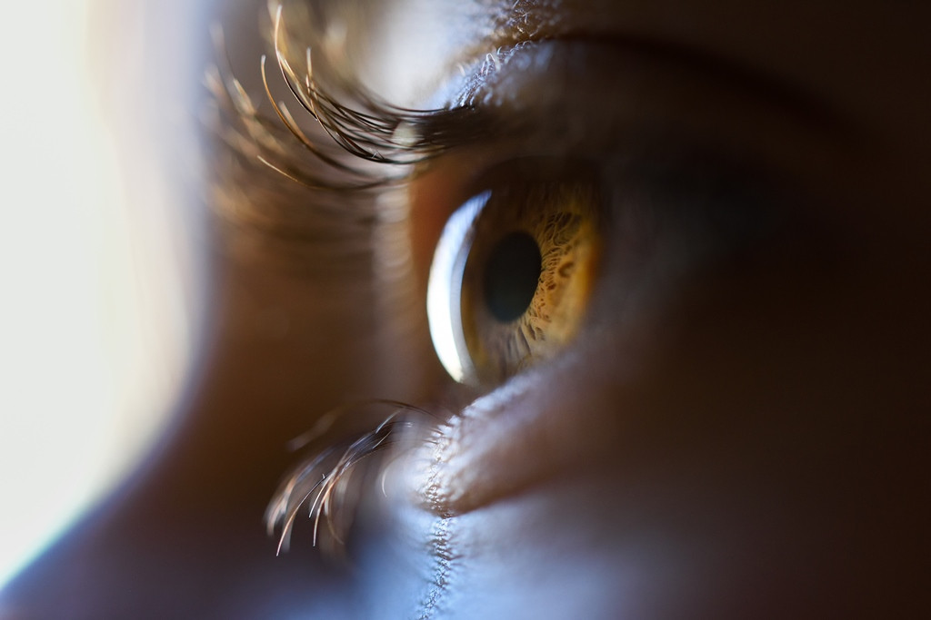 Ilustrasi-Pexels