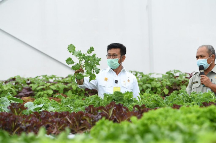 Tingkatkan Kualitas Pendidikan Vokasi Pertanian, Kementan Luncurkan Smart Green House