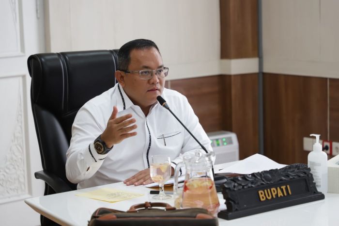 Bupati Musi Banyuasin (Muba) Dodi Reza Alex Noerdin, (Foto: MI/Dwi Apriani)