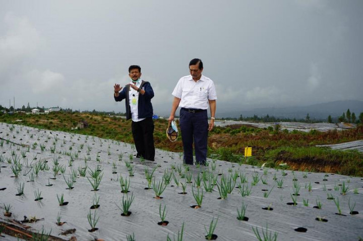 Pengolahan Lahan <i>Food Estate</i> Humbahas Mendekati 90 Persen