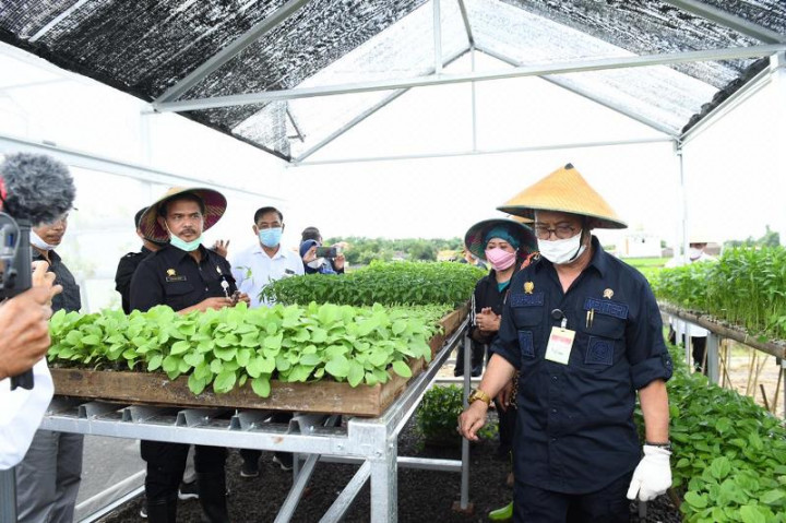 Mentan Tinjau Budidaya Integrated Farming di Desa Kragan