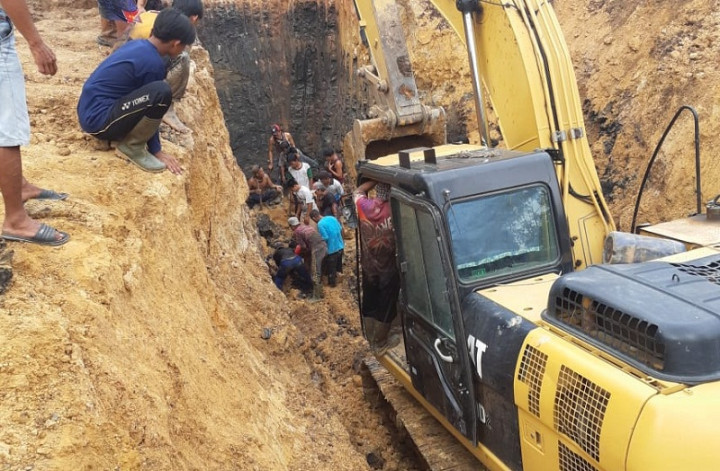 Teror Harimau Hingga 11 Penambang Liar Batu Bara Tewas