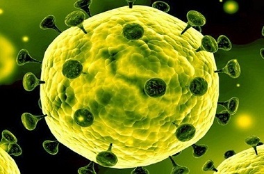 Lima Negara Tutup Penerbangan dari Afsel Terkait Varian Covid-19