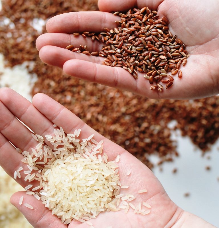 Beras putih dan beras cokelat (Foto: Pexels)