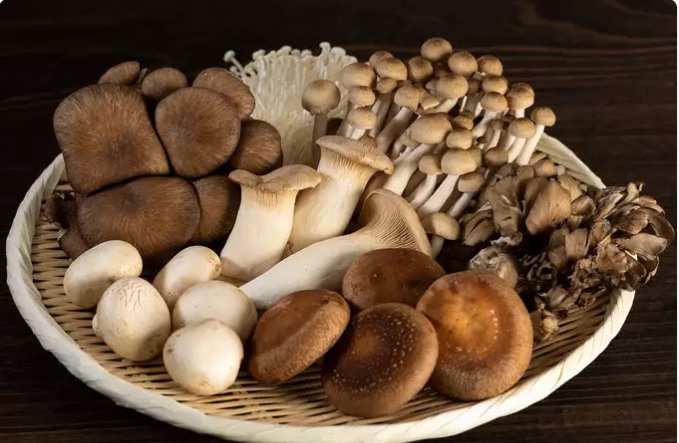 Jamur Enoki dan Shimeji Bermanfaat bagi Kesehatan
