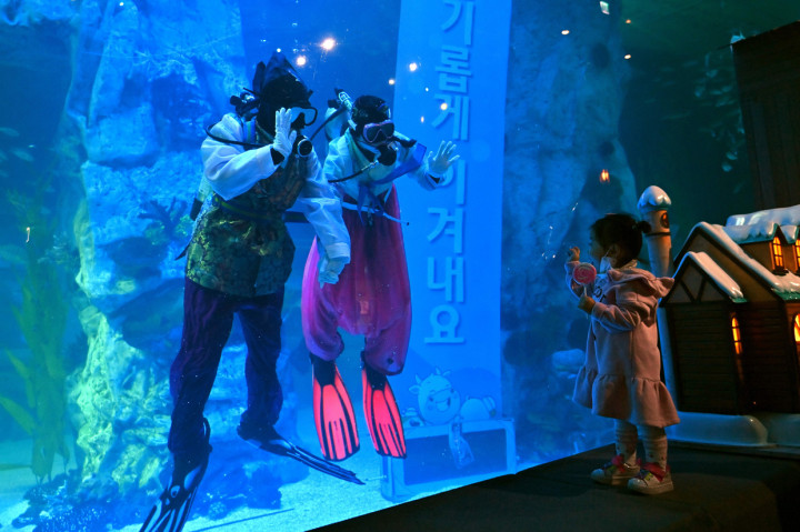 Penyelam Berkostum Hanbok Semarakkan Tahun Baru Dalam Akuarium di Seoul