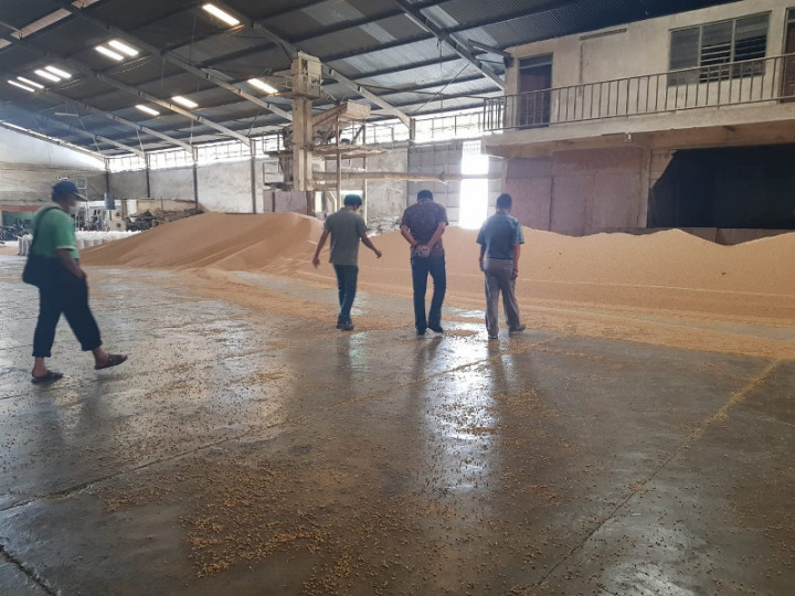 Importir Penimbun Kedelai Siap-siap Dihukum