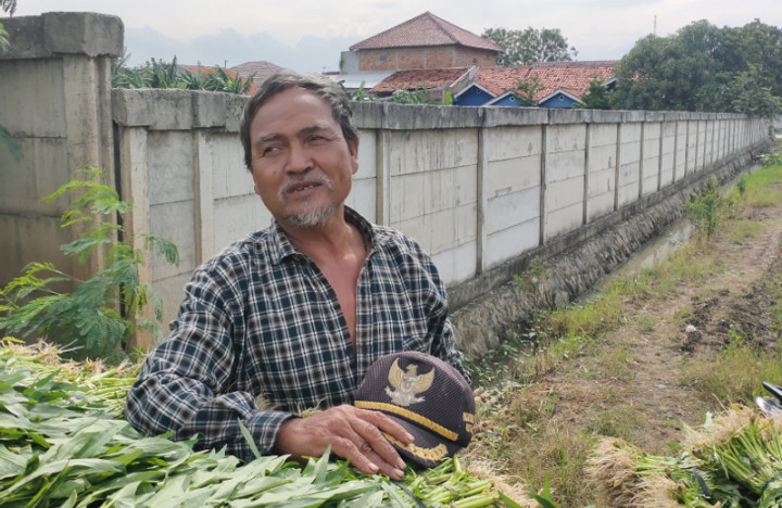 Petani di Lahan TPU Rorotan Khawatir Kehilangan Nafkah