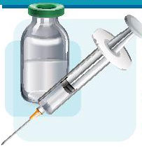 Setop Polemik tentang Vaksin