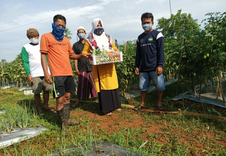 Lahan Tandus di Bangkalan Disulap Jadi Penghasil Tanaman Hortikultura