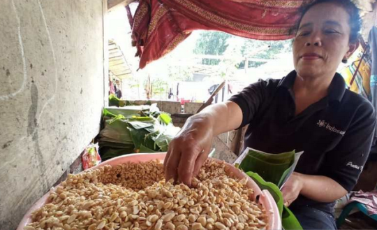 Kementan Minta Importir Pasarkan Kedelai Lokal